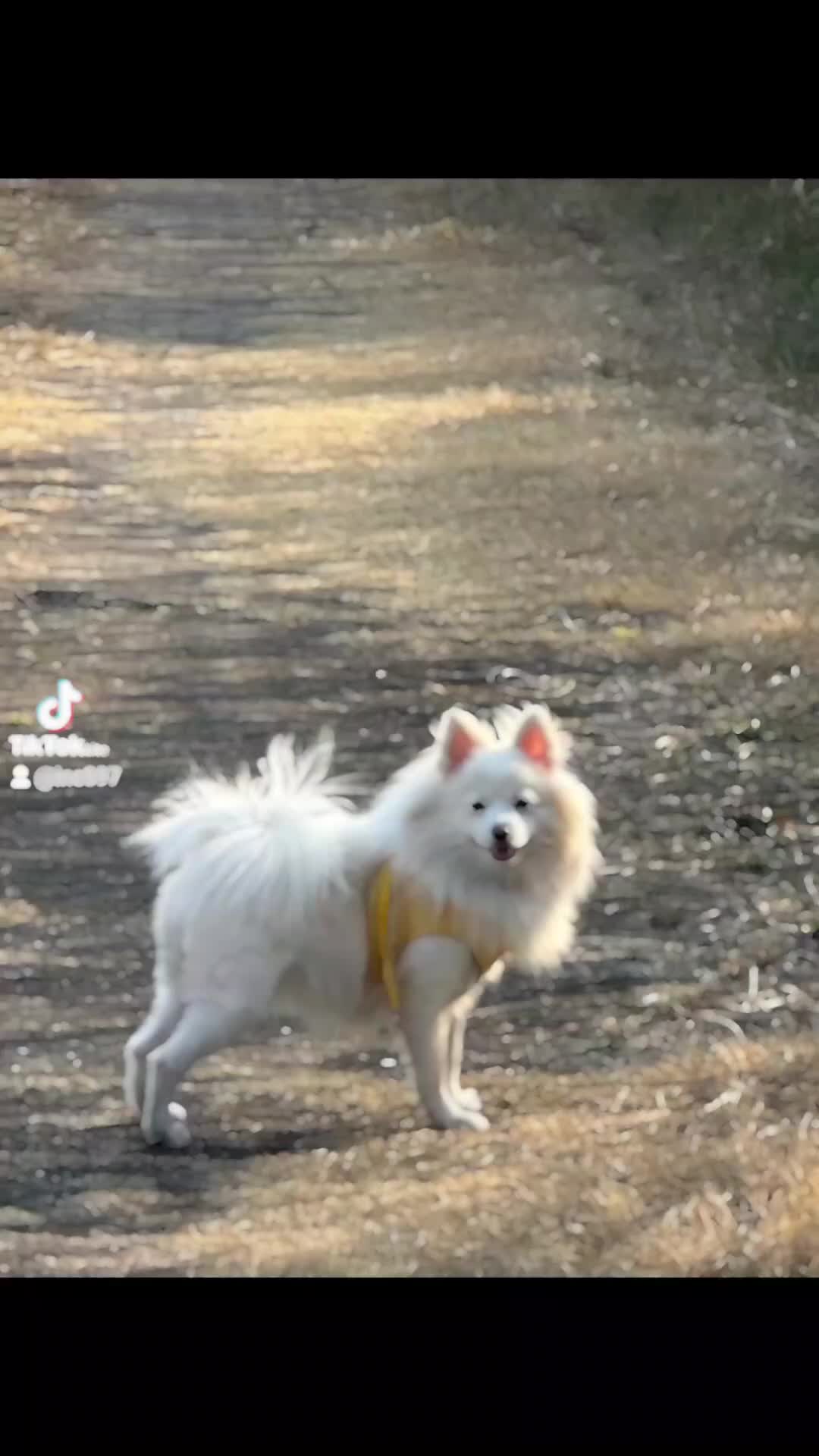 @땡이맘/헤어톡