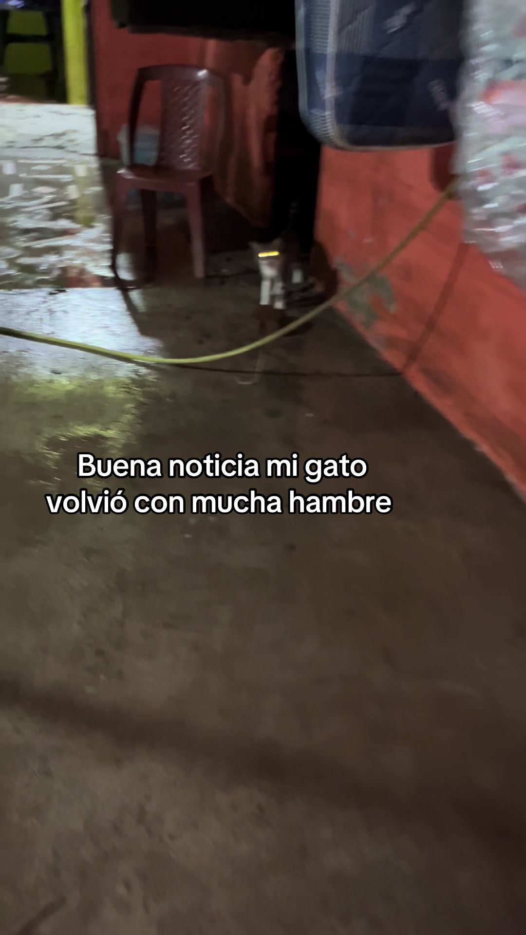 @Nallely