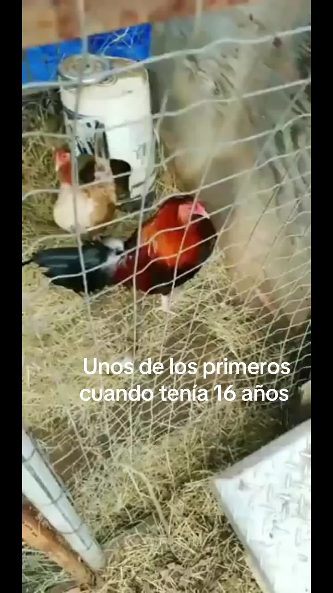 @ElPalmaritoGAMEFARM