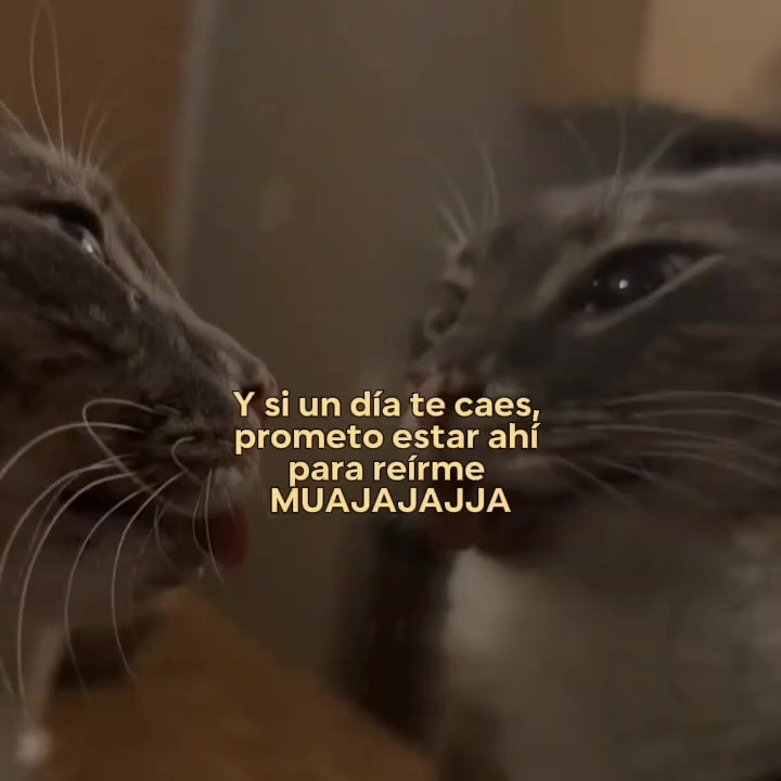 @goodvibessxd