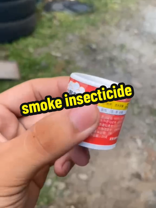 @ni&ntilde;aaaa