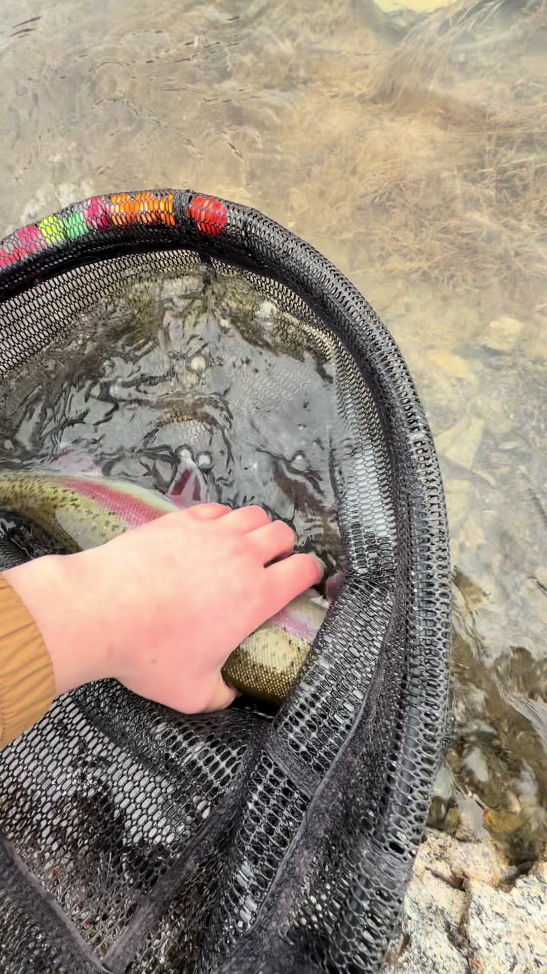 @Jared fishing BC