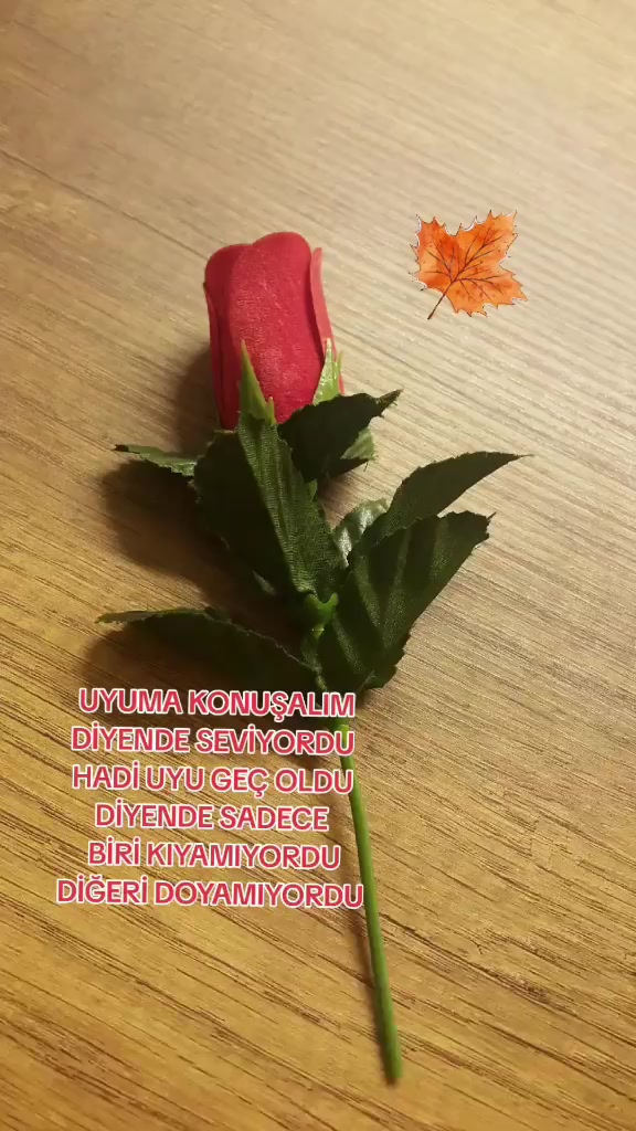 @💥SEDAT DUMAN💥