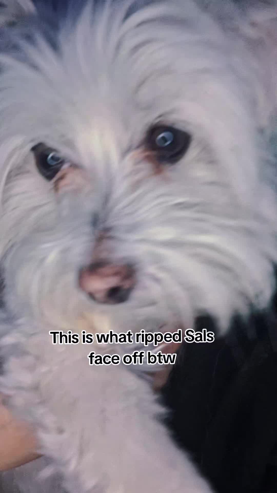 @Sydthekidcos5