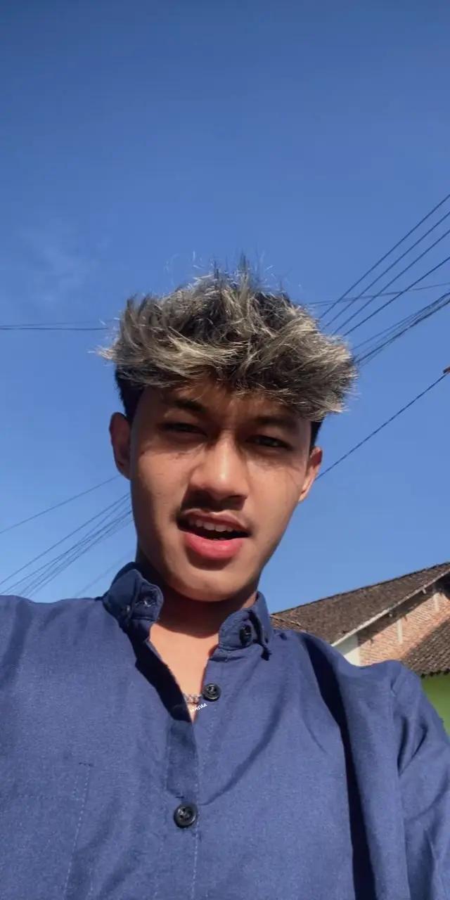 @salsaa