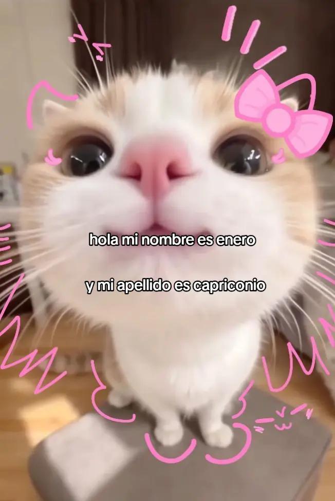 @☆𝓔𝓿𝓮𝓵𝓲𝓷☆