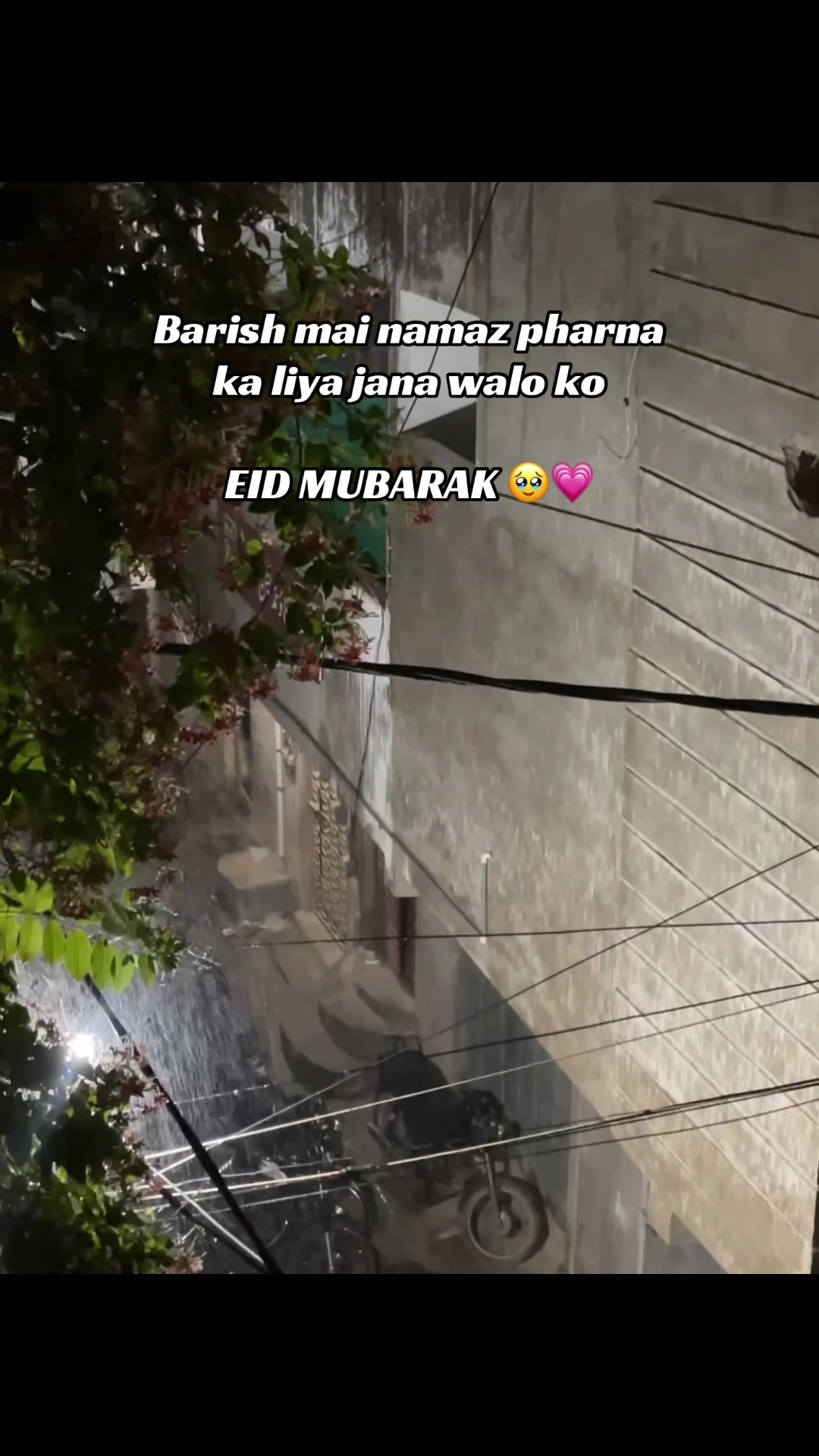 @<< Hassu >> 🎀