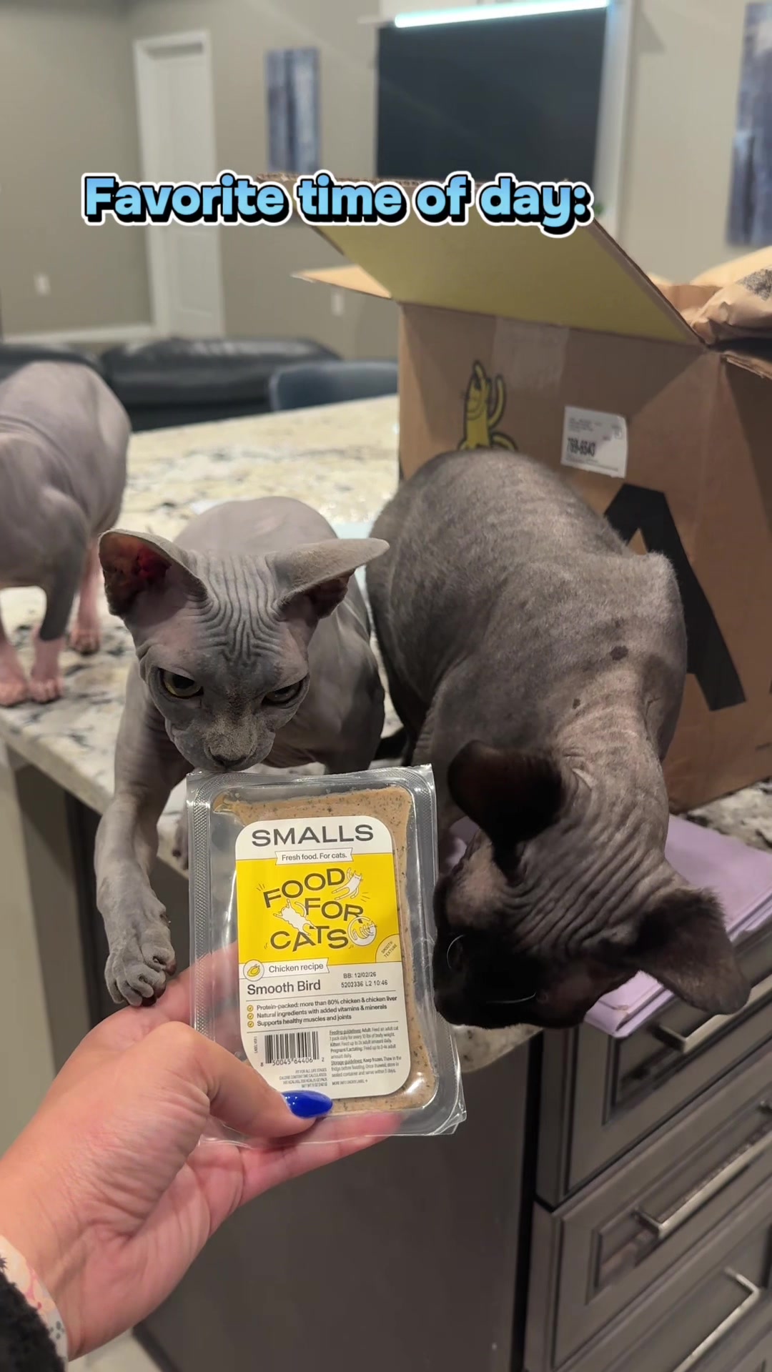 @BomboCats