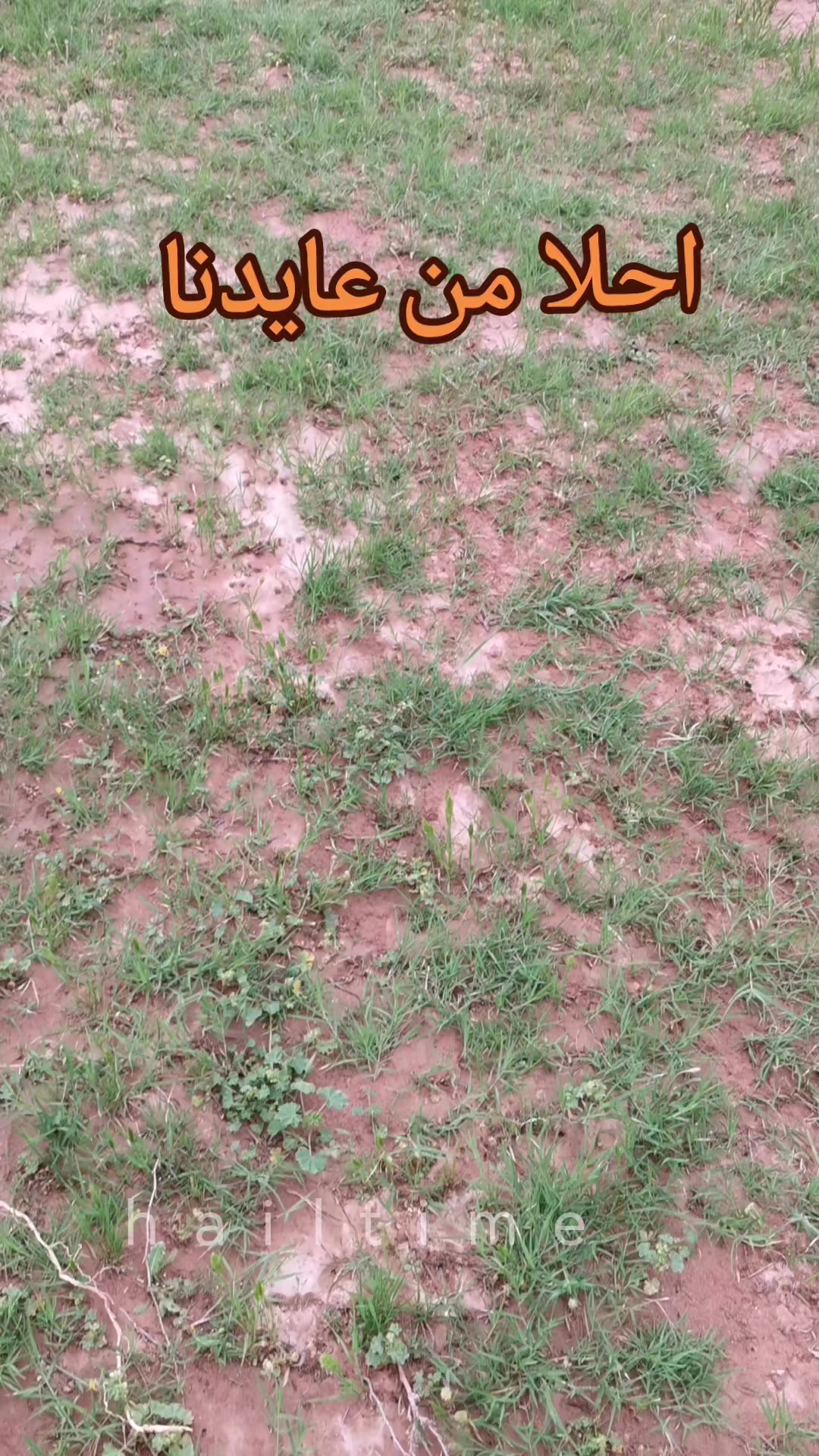 @ابوايوب الشمري