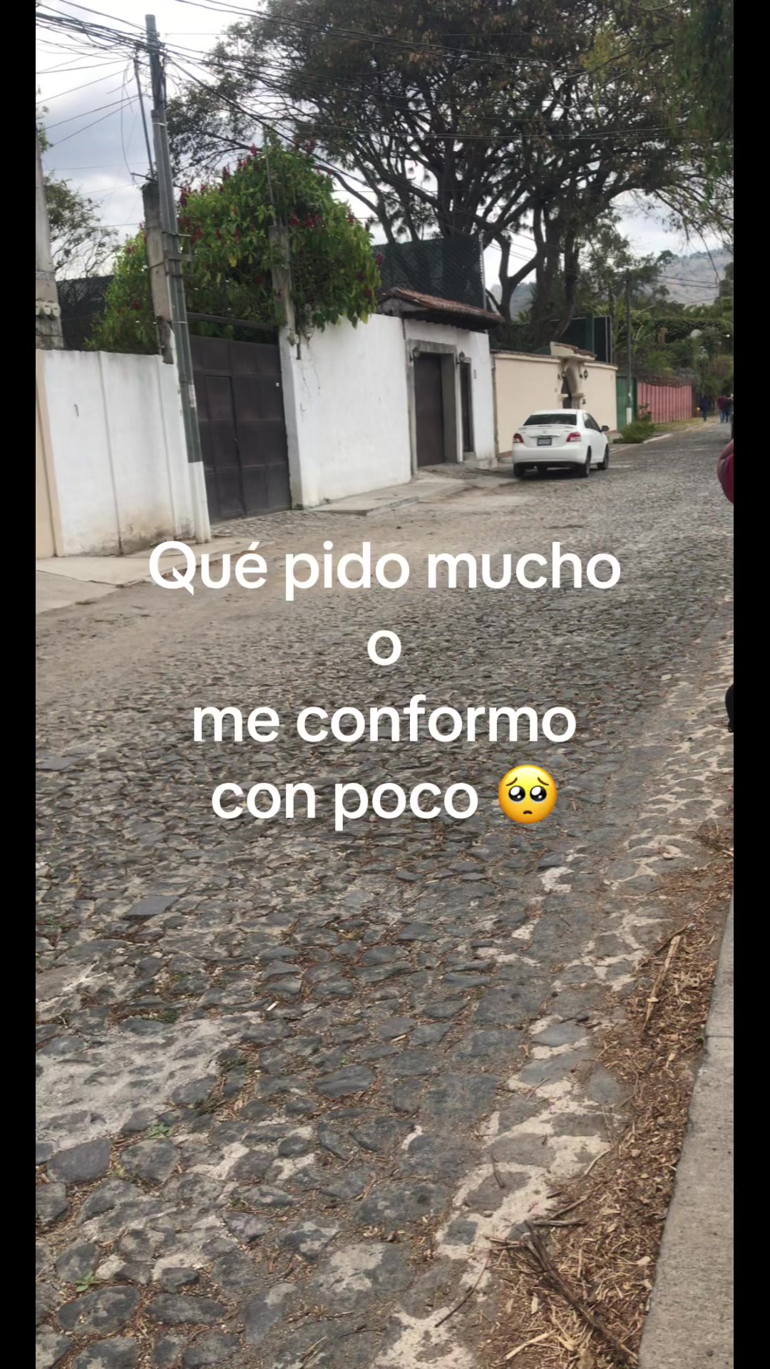 @Fans Arjona🇬🇹