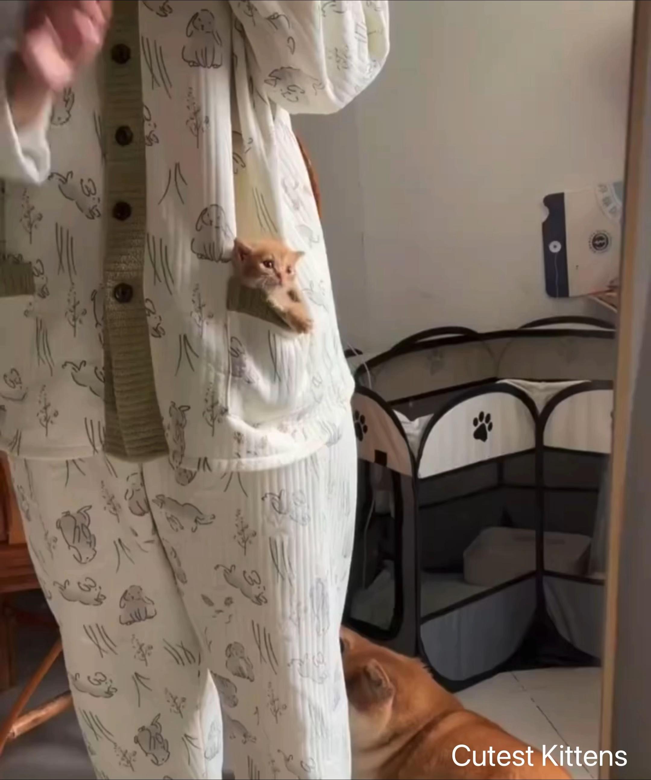 @Pawsfull.ASMR