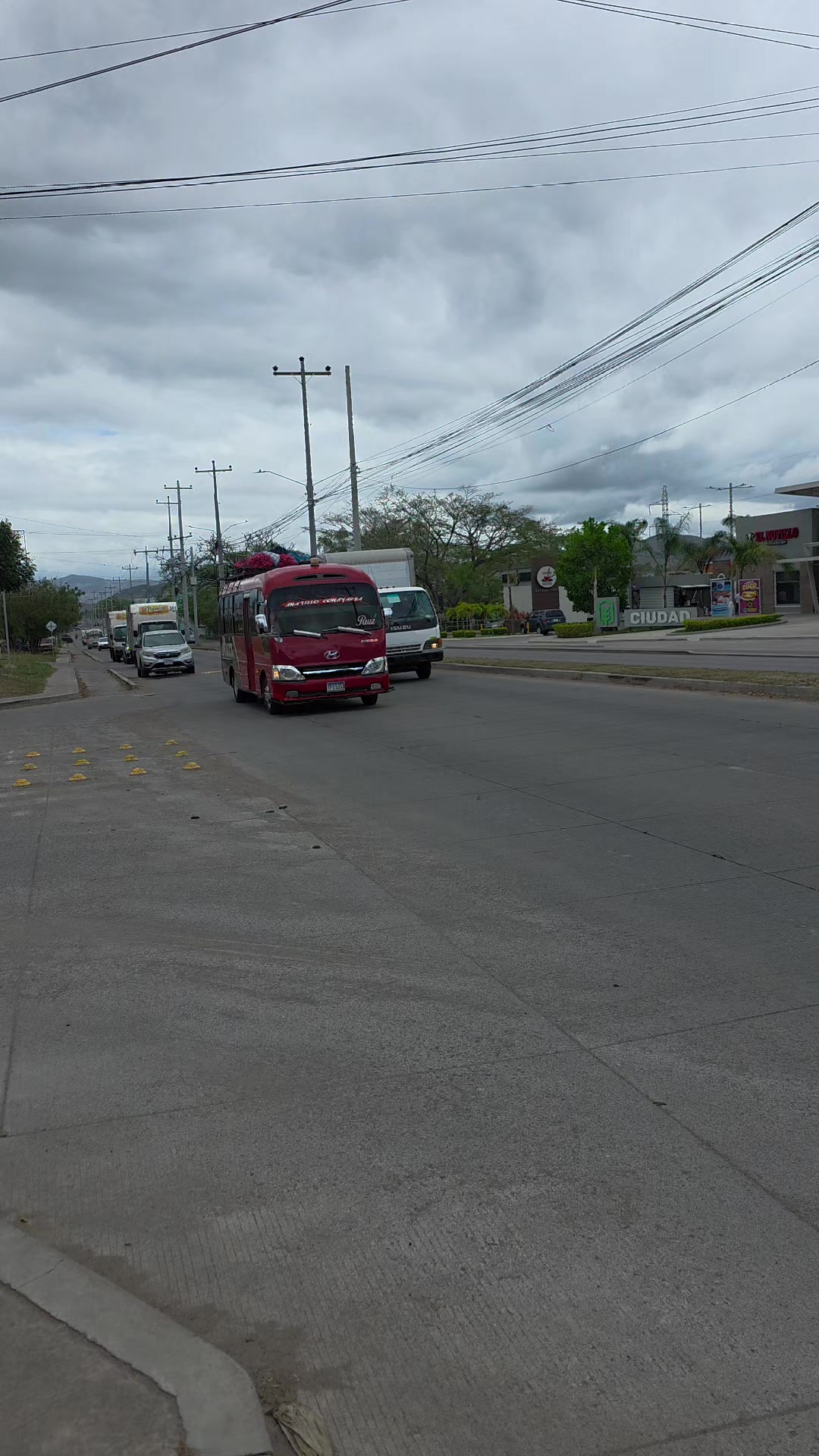 @AMATILLO COMAYAGUA RUIZ SUREÑO
