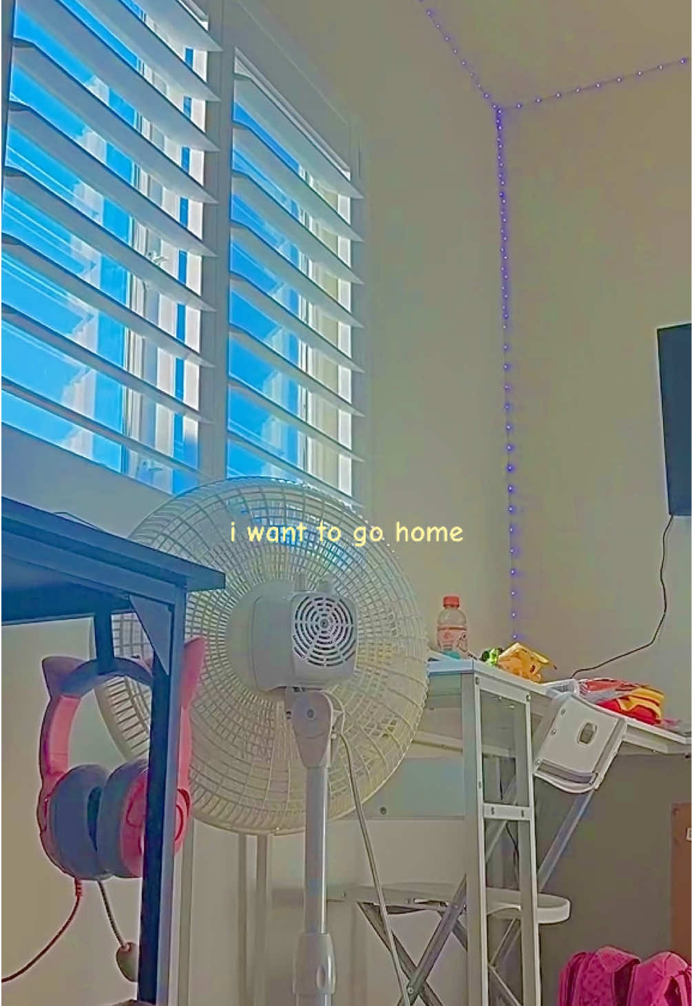 @☀️𝗍𝗁𝖾𝖽𝗂𝗇𝗈𝖽𝗂𝗇𝗂𝗇𝗀🧃