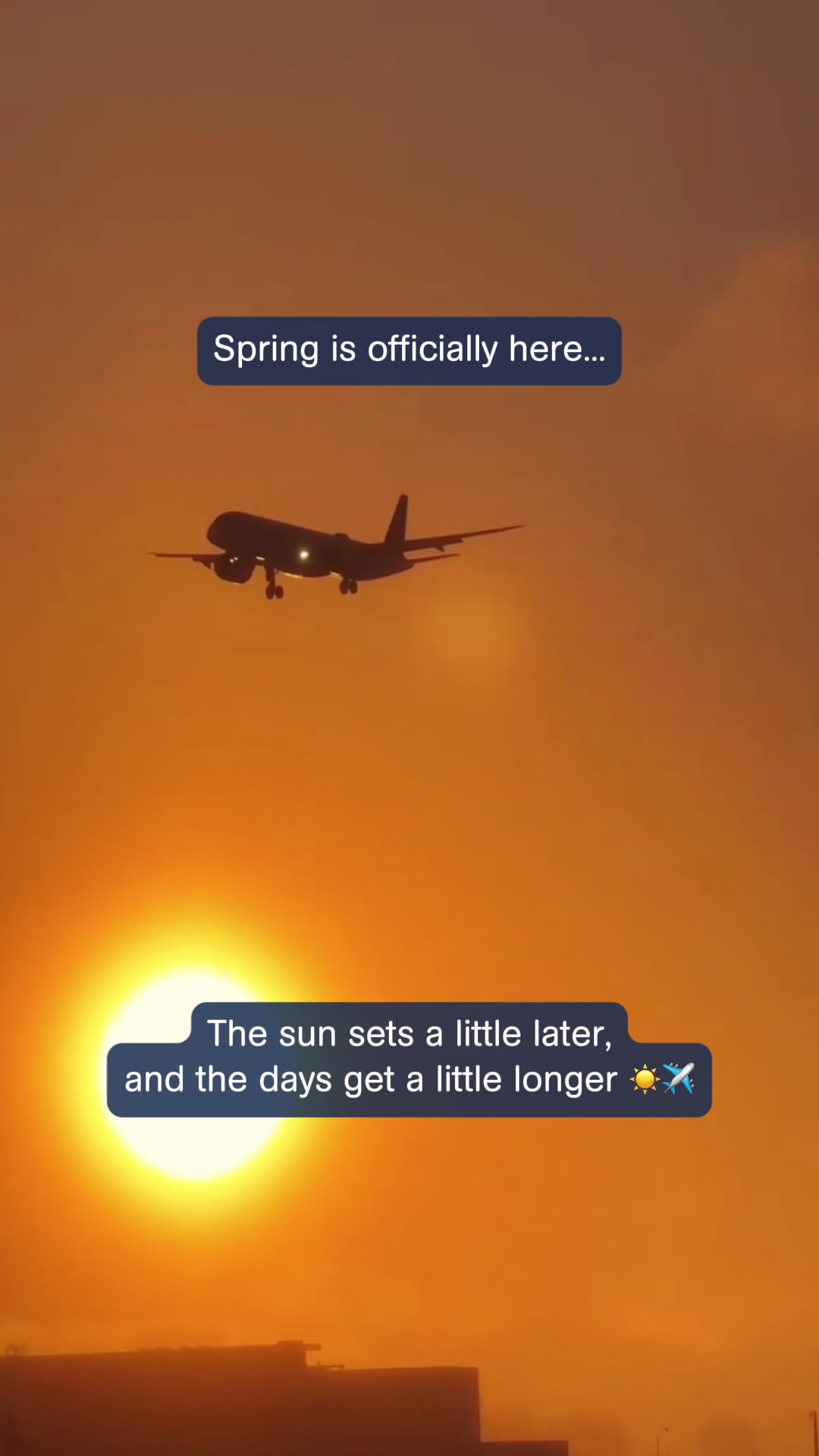 @Porter Airlines