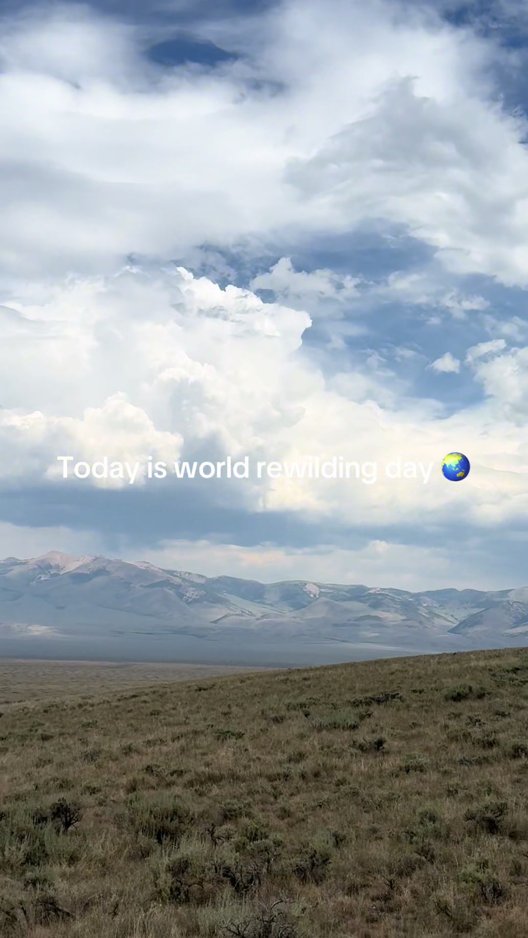 @RewildingAmericaNow