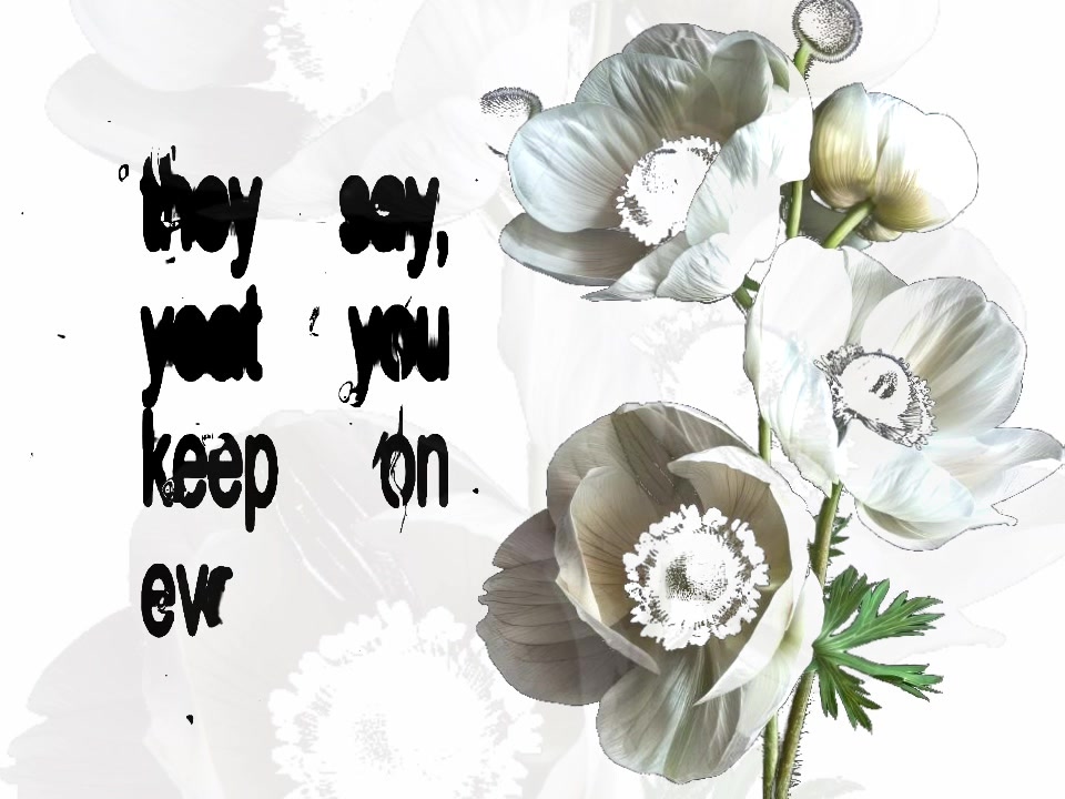 @speed songs | lyrics