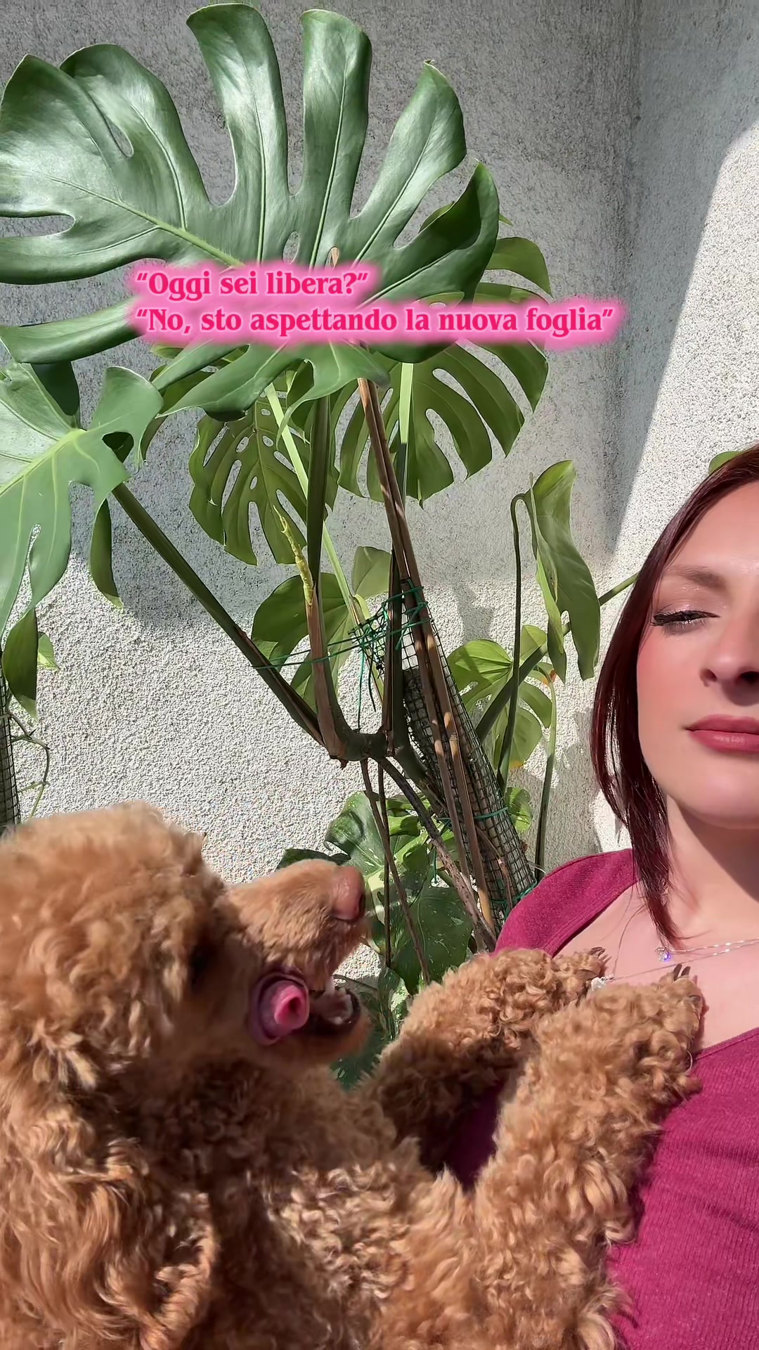 @ElenaStardust