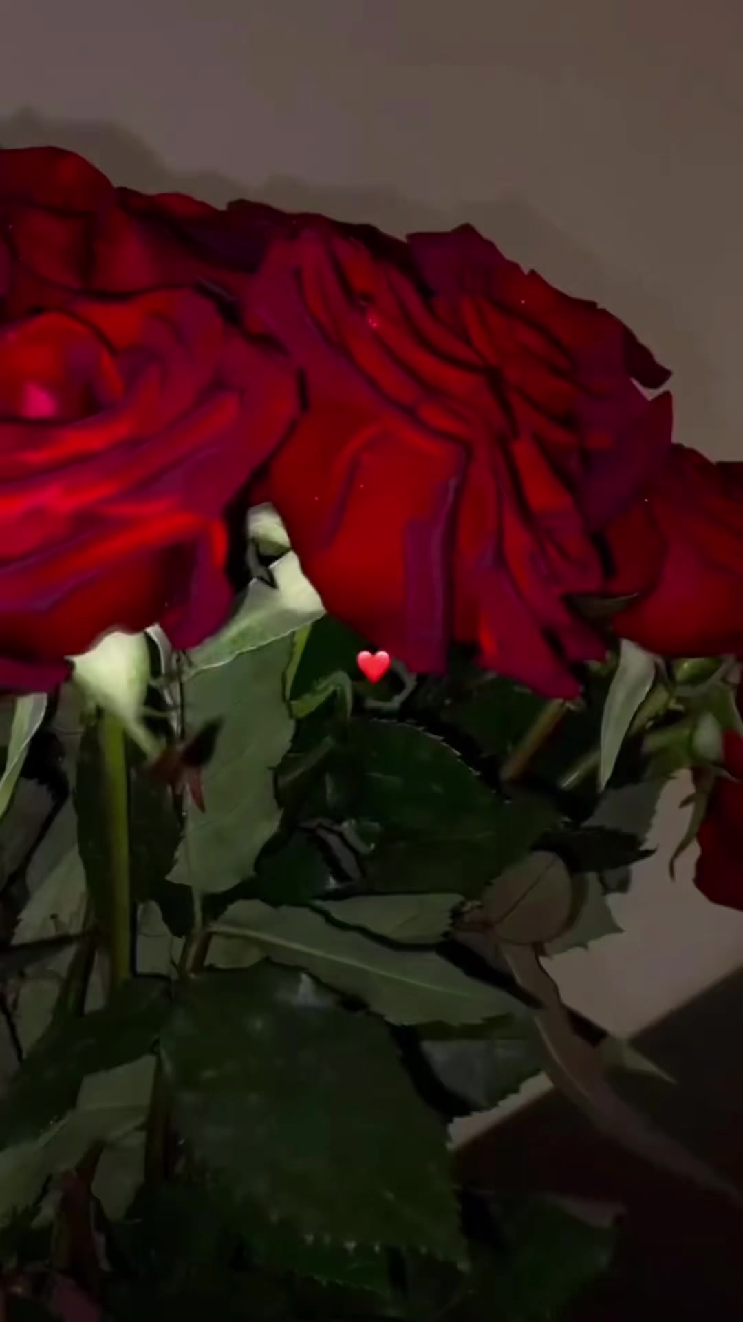 @꧁𝓪𝓵𝓮𝓴𝓼𝓪𝓷𝓭𝓻𝓪꧂🇧🇾