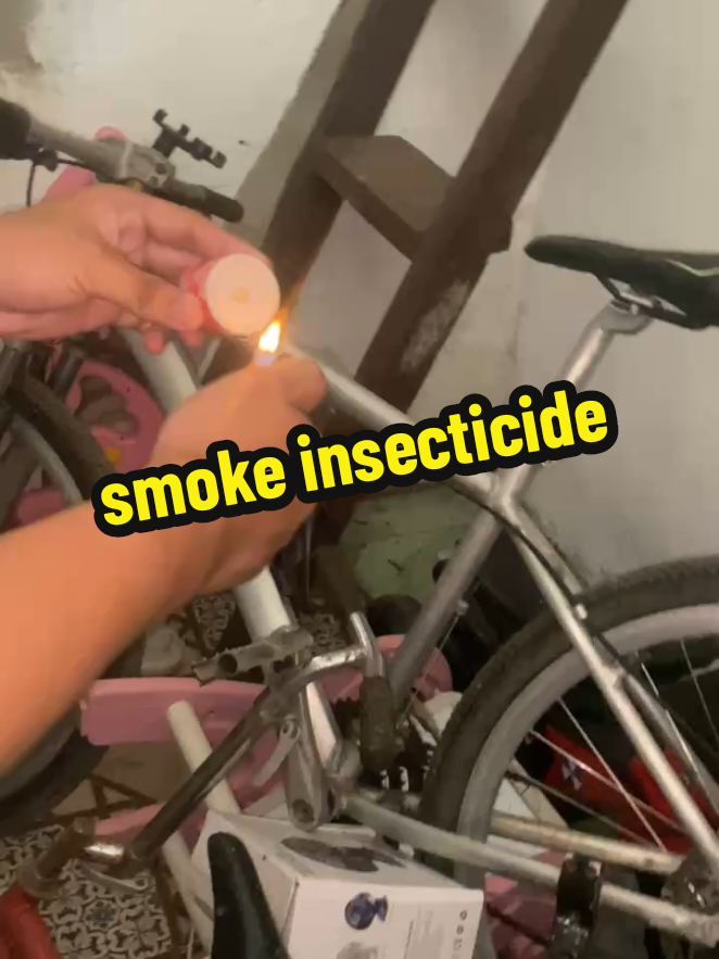 @ni&ntilde;aaaa