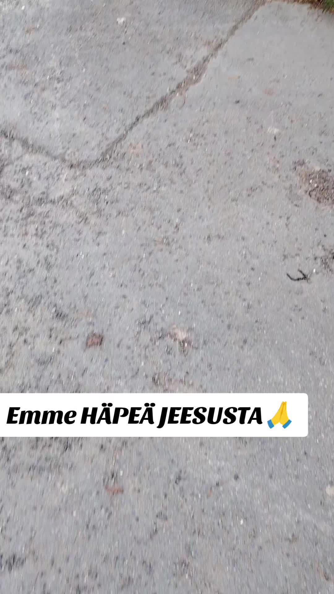 @PastoriToni