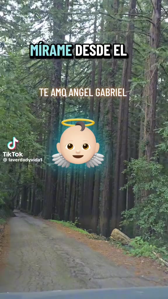 @lorena bautista oyuela