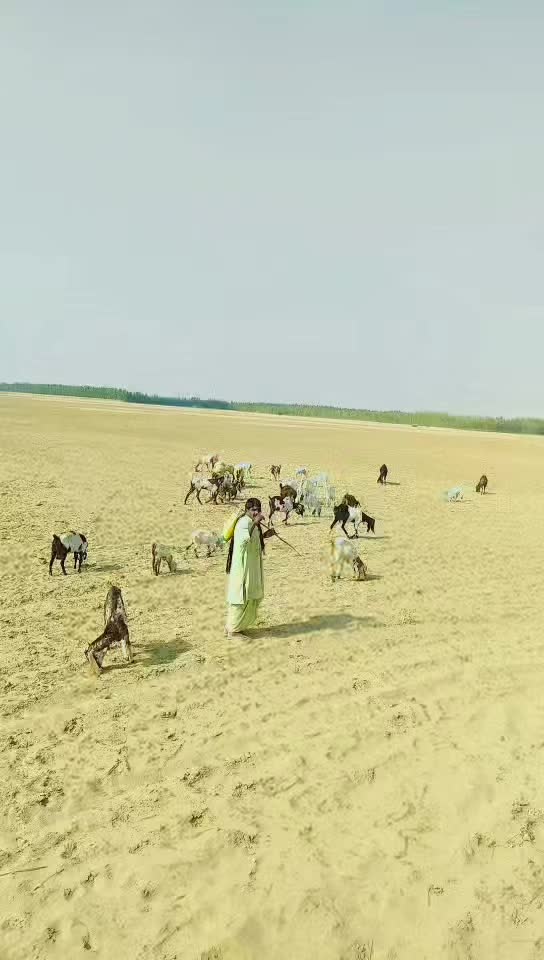 @Malik Asad Saggu