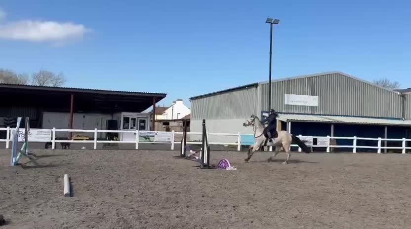 @ZB Equestrian