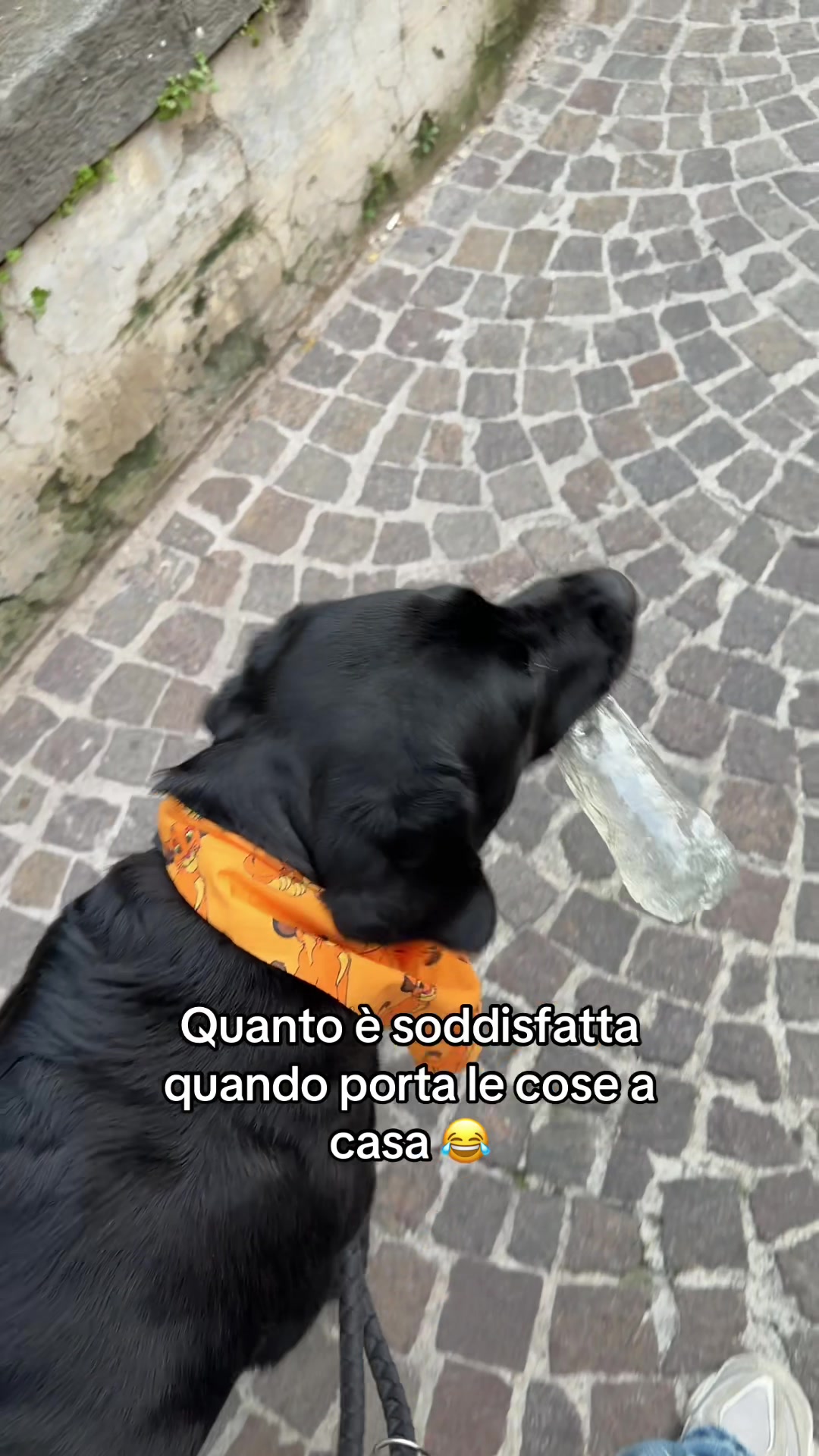 @Cloe e sabry🖤🐾