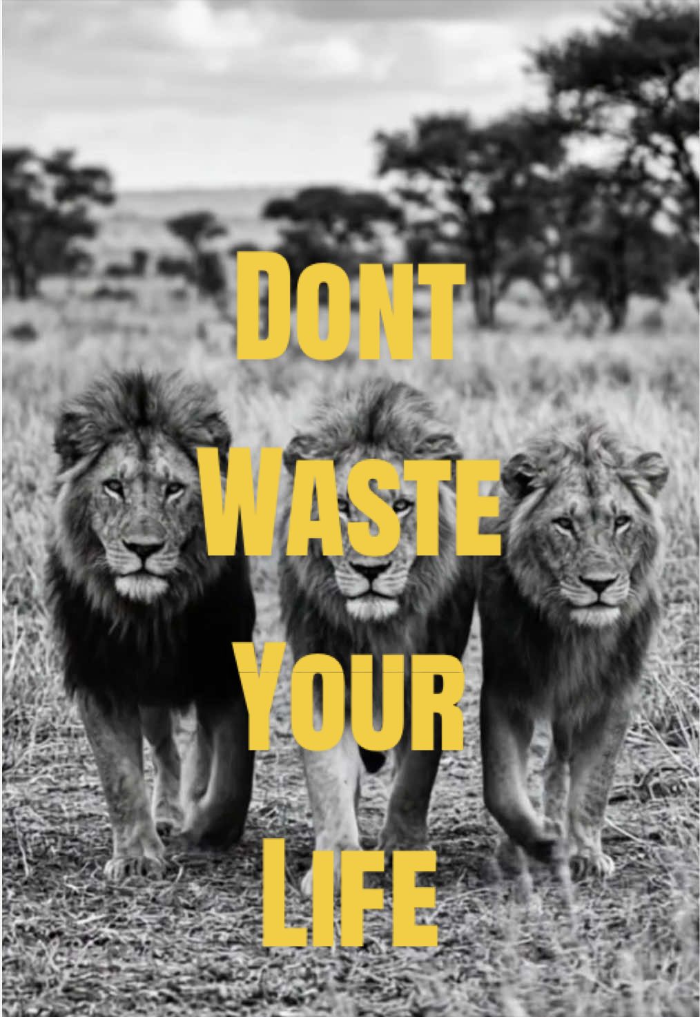 @Rise.and.dominate