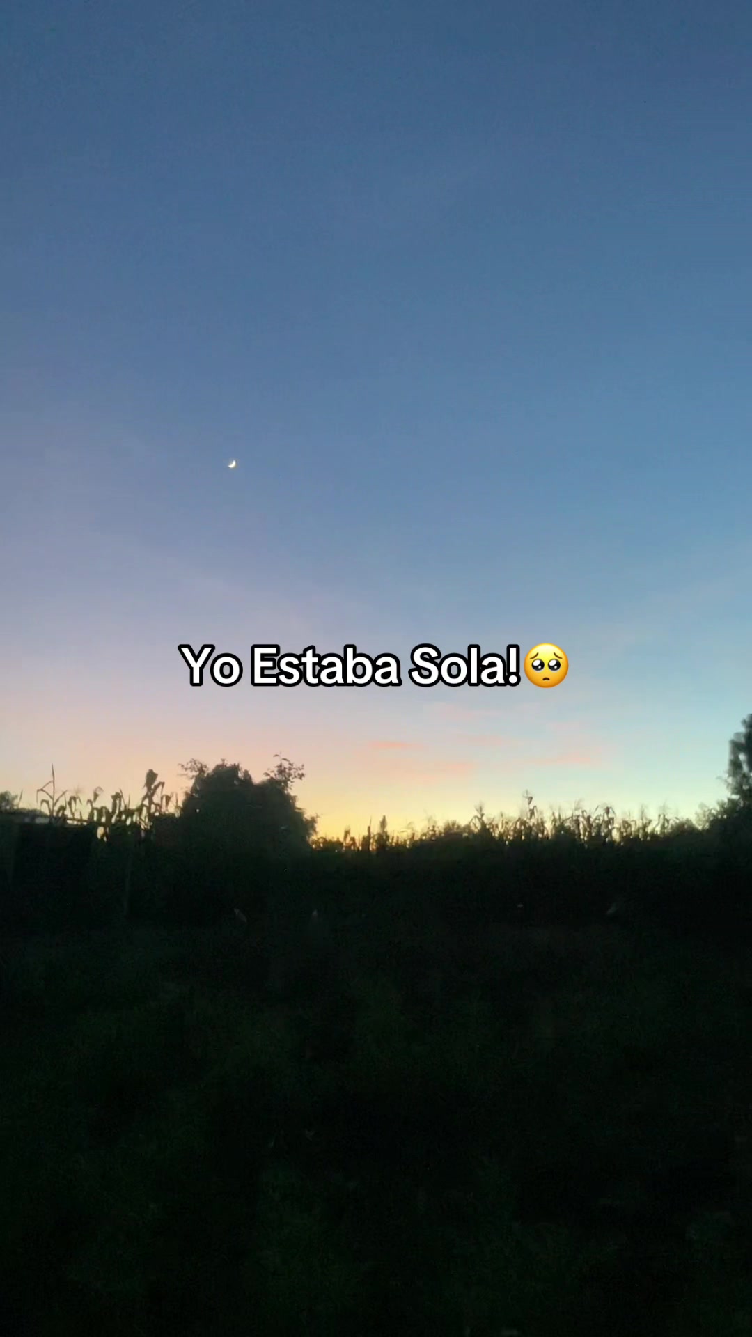 @chica06panda