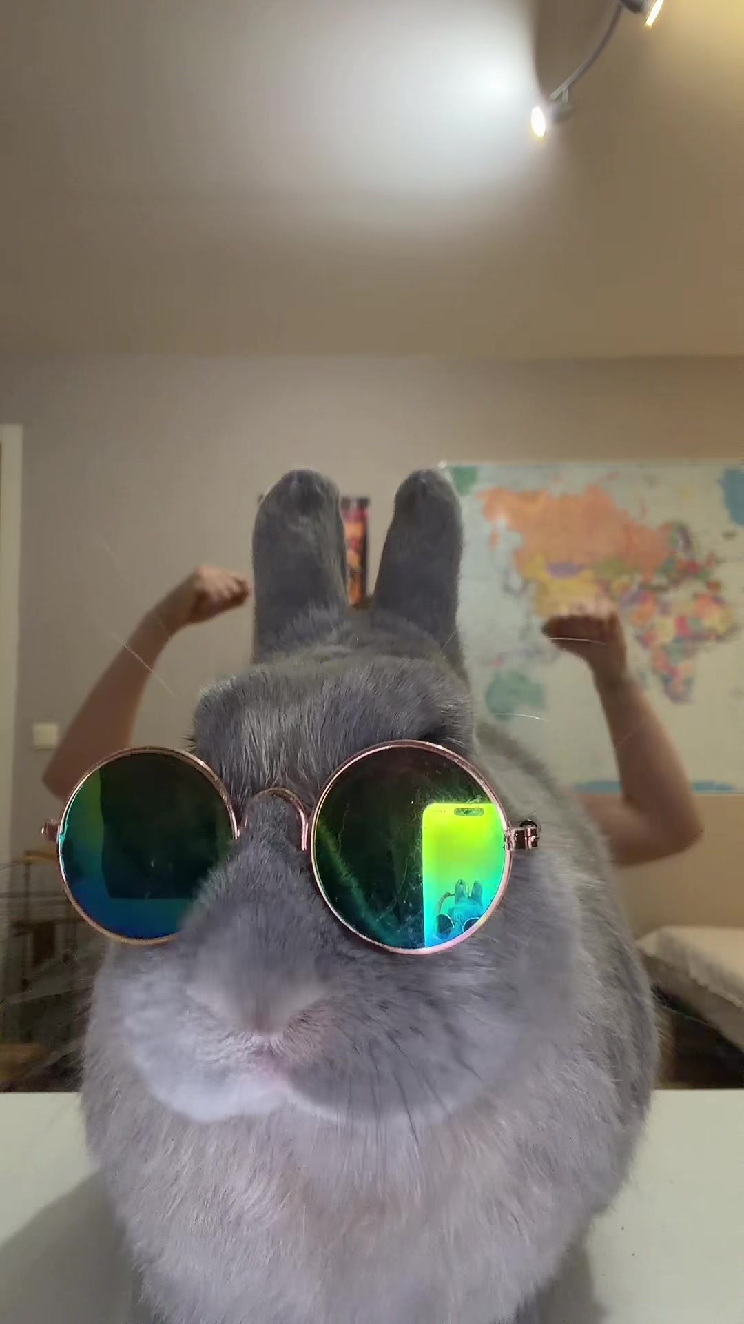 @PantoufleLapin
