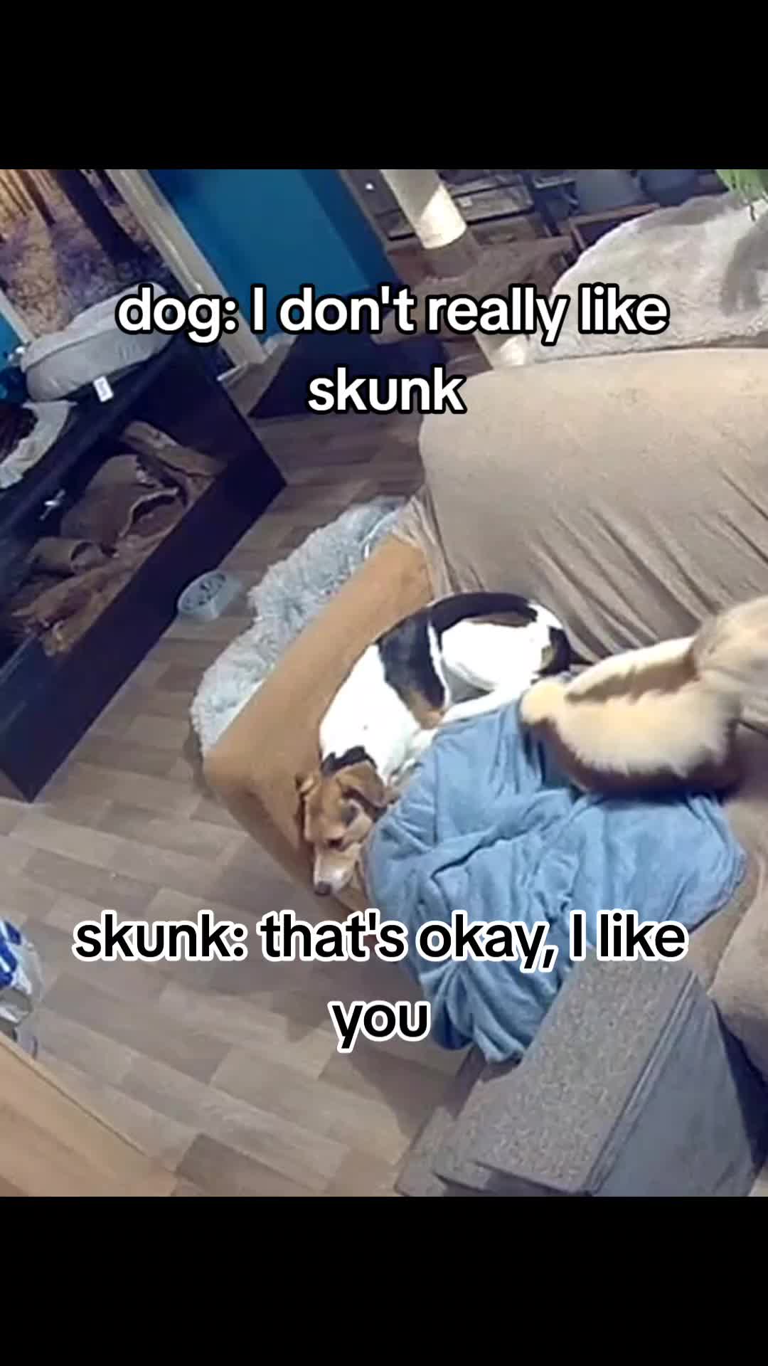 @Bestiesbeasties