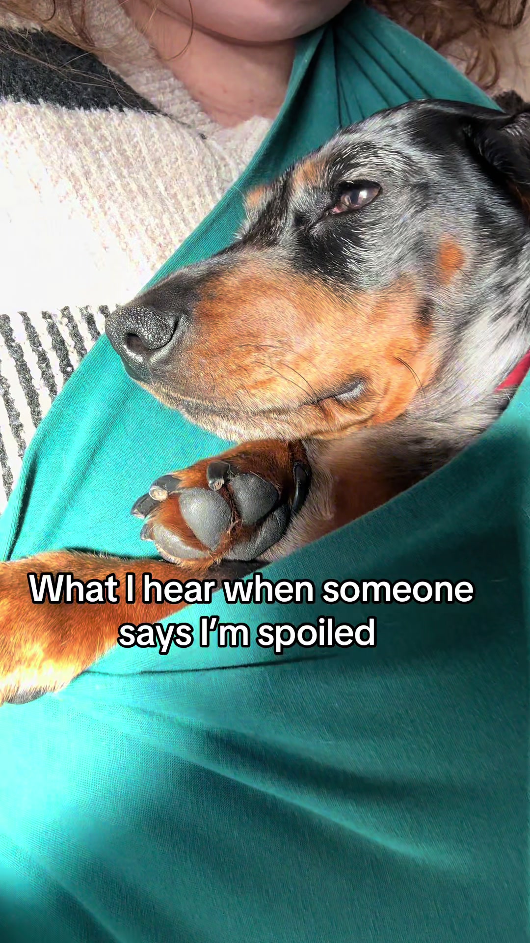 @dibblydobbly_dax