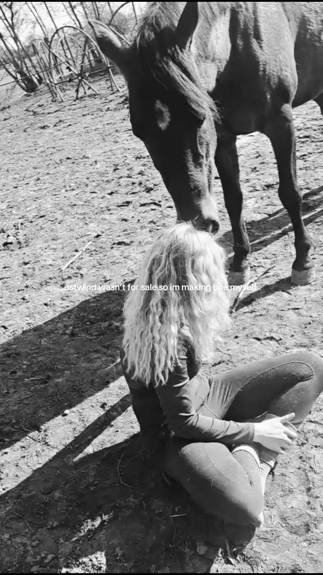 @dovda.horsemanship