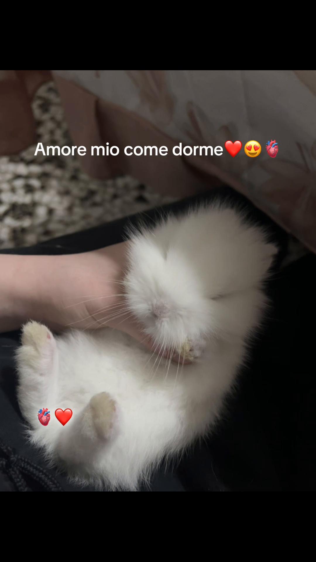 @💎La mora💎