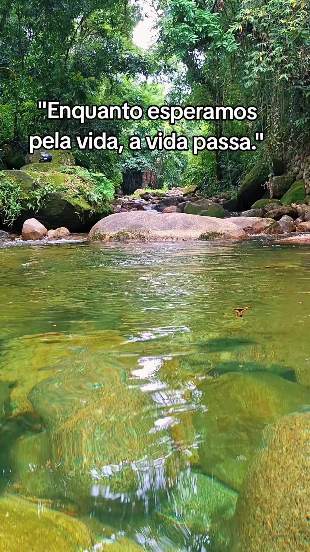 @Osvaldo