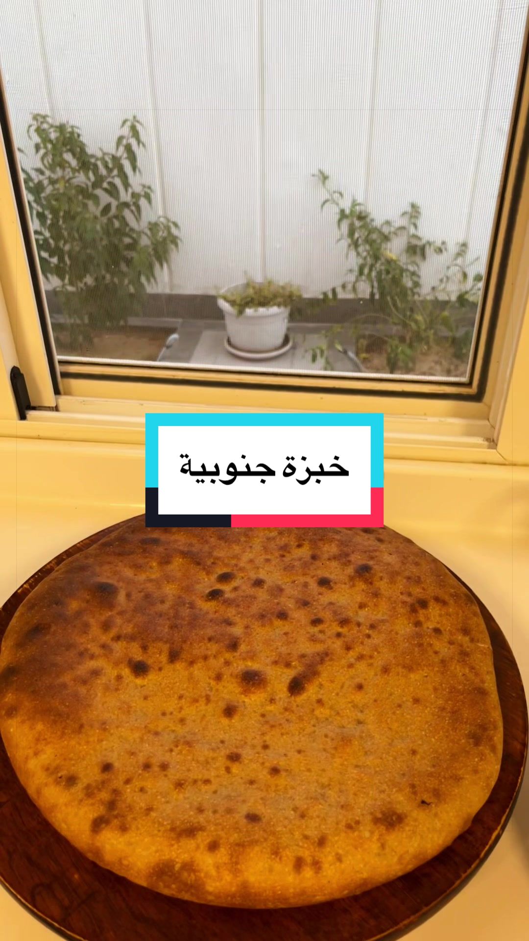 @Amani Bint Saleh
