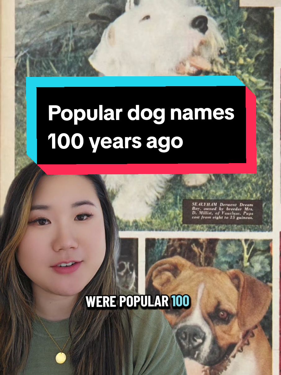 @Newspapers.com