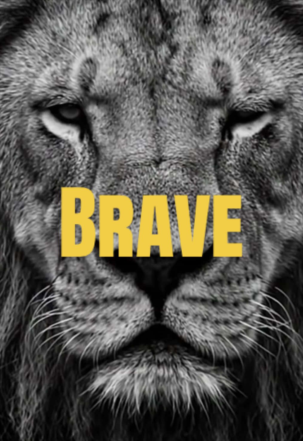 @Rise.and.dominate