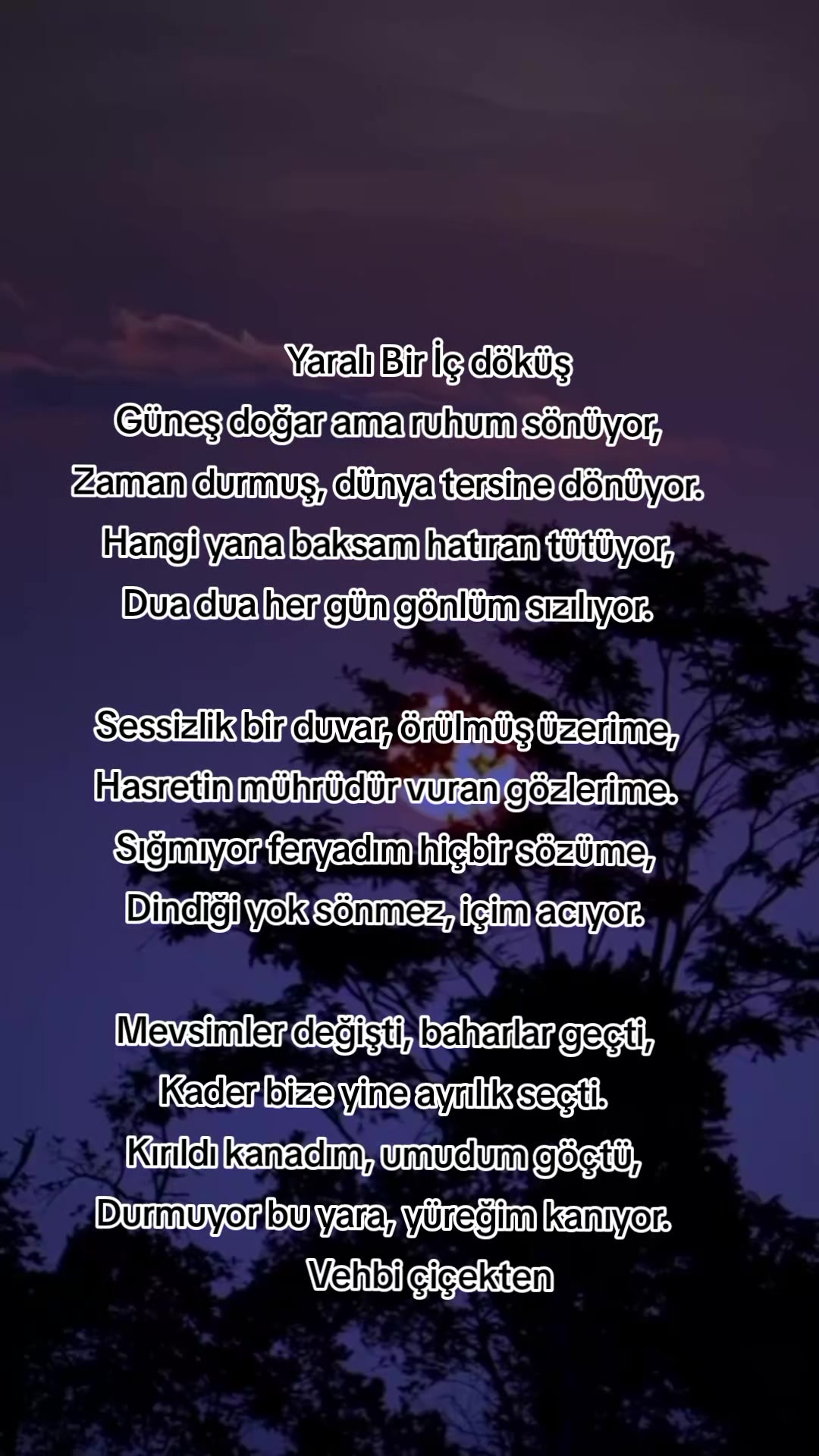@Vehbi &ccedil;i&ccedil;ekten