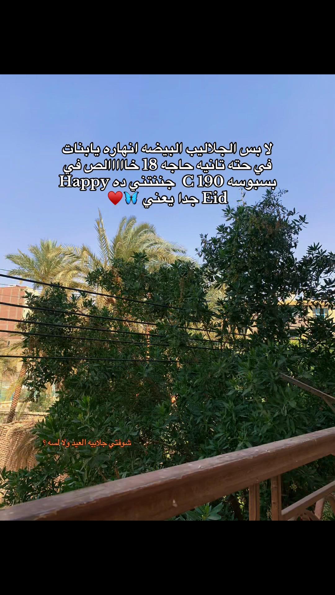 @إيــمــى🐬