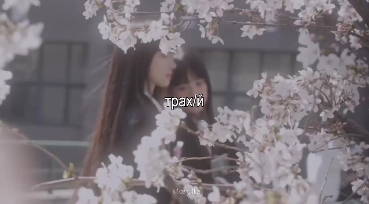 @𝑲𝑰𝑪𝑬𝑹𝑨