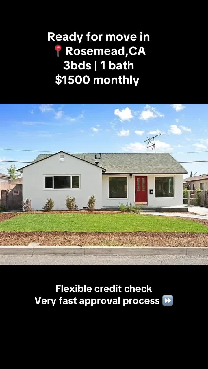 @Viktor Sandor_Realtor