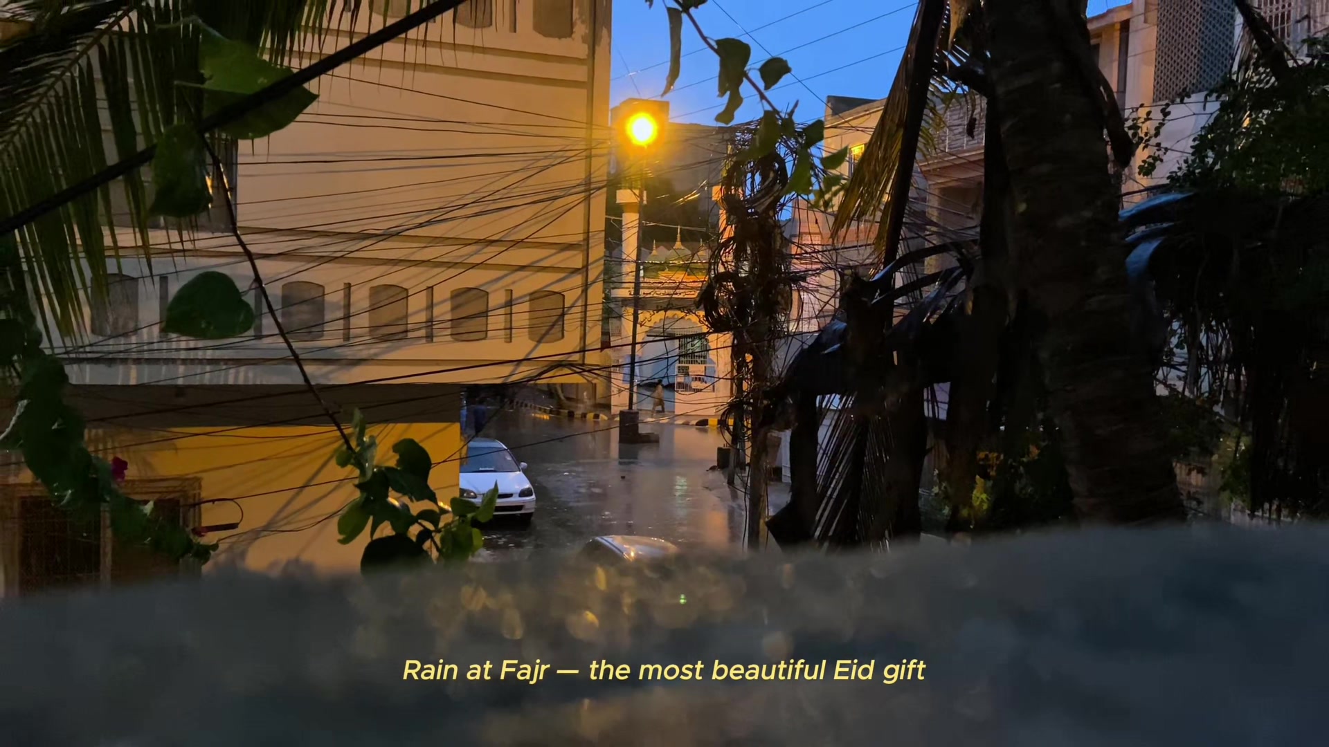 @Ayan