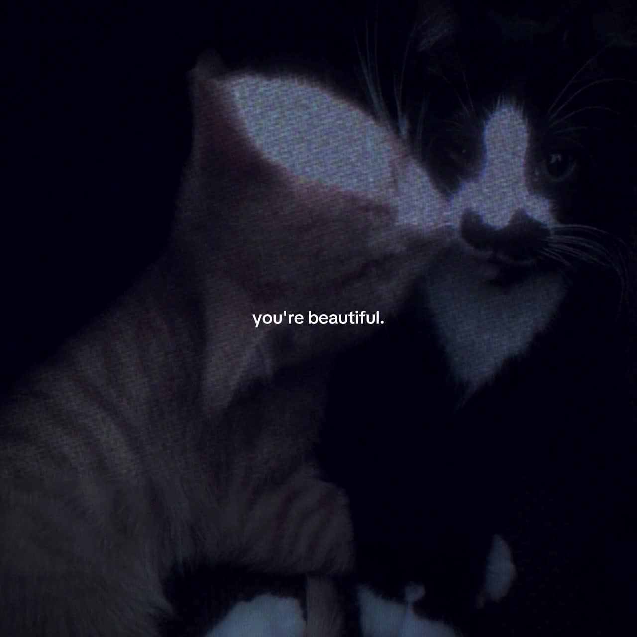 @.