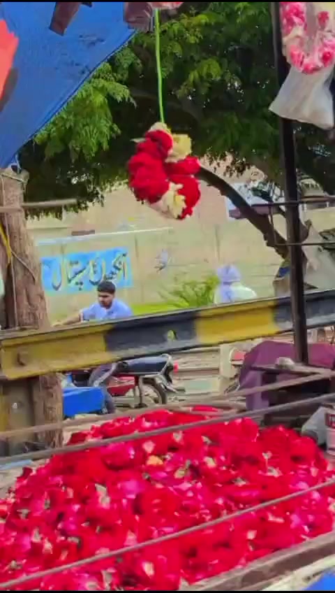 @Zohiab Mayo