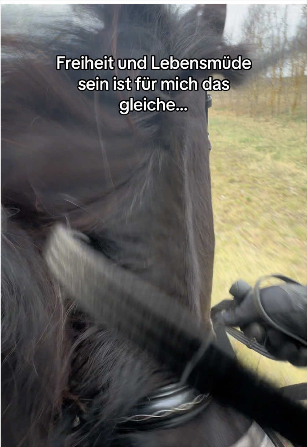 @Annie und Marlenee