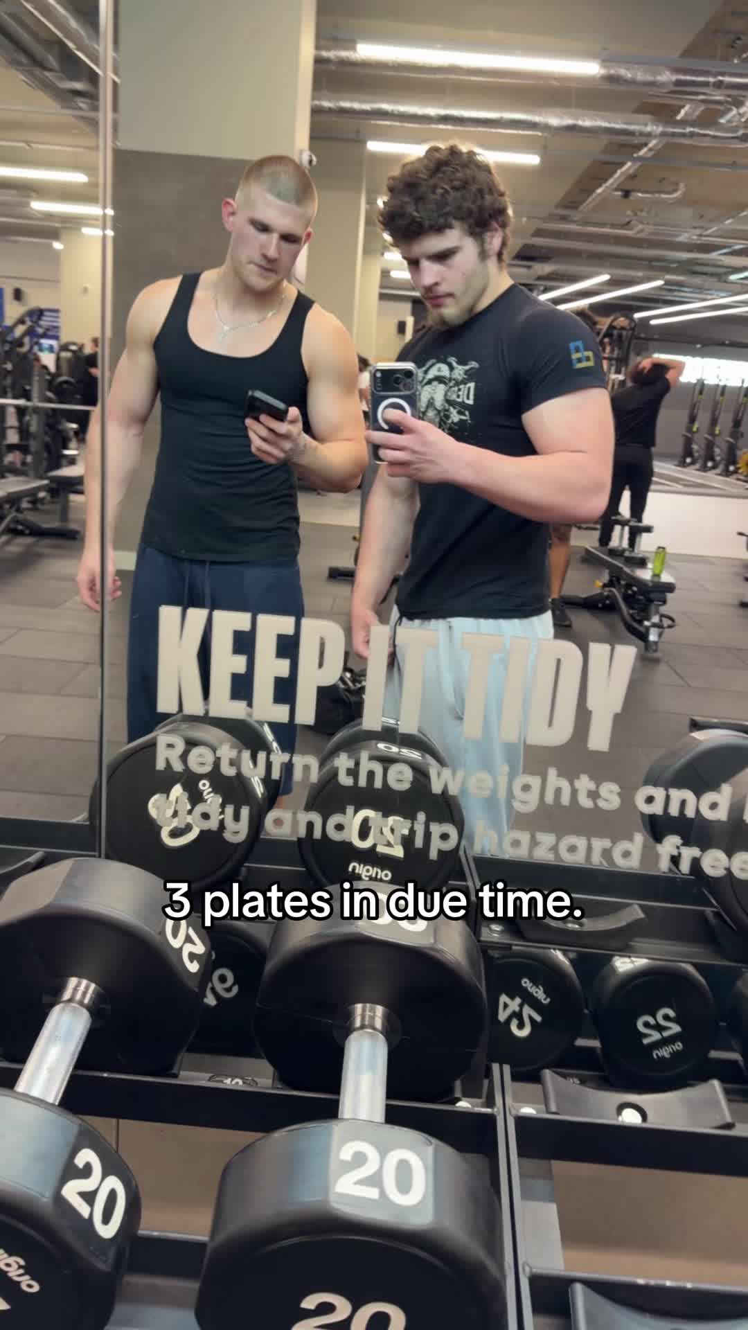@anadrollie🧬