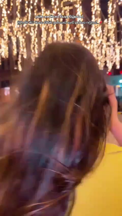 @V🐼