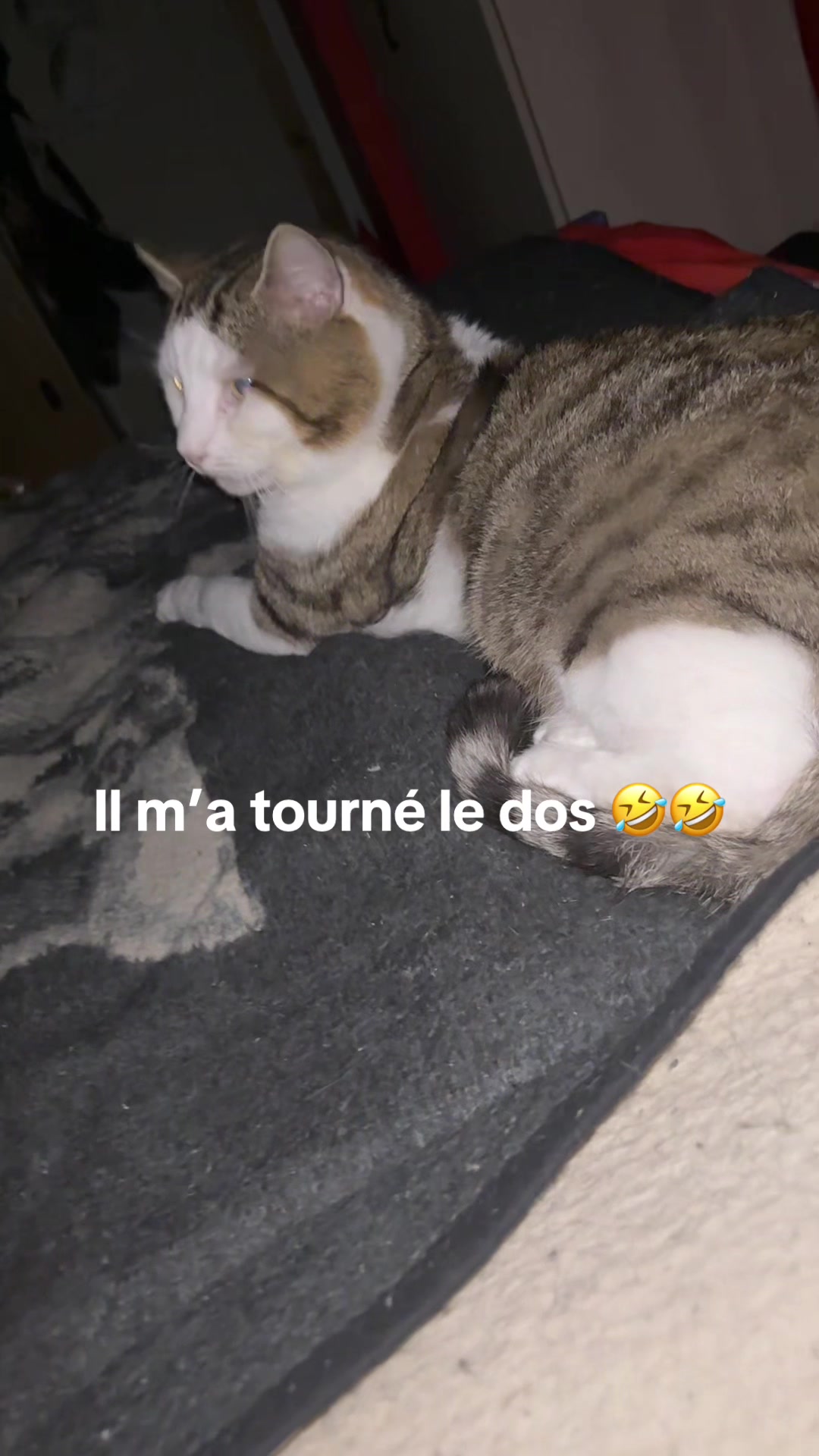 @Chatchientok